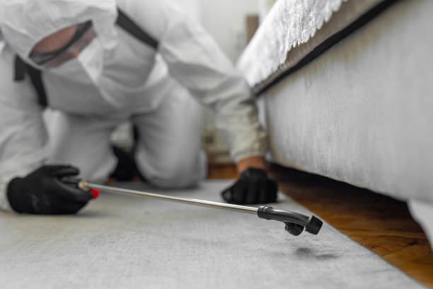 Professional Cockroach Control technician working in Lafayette, CA